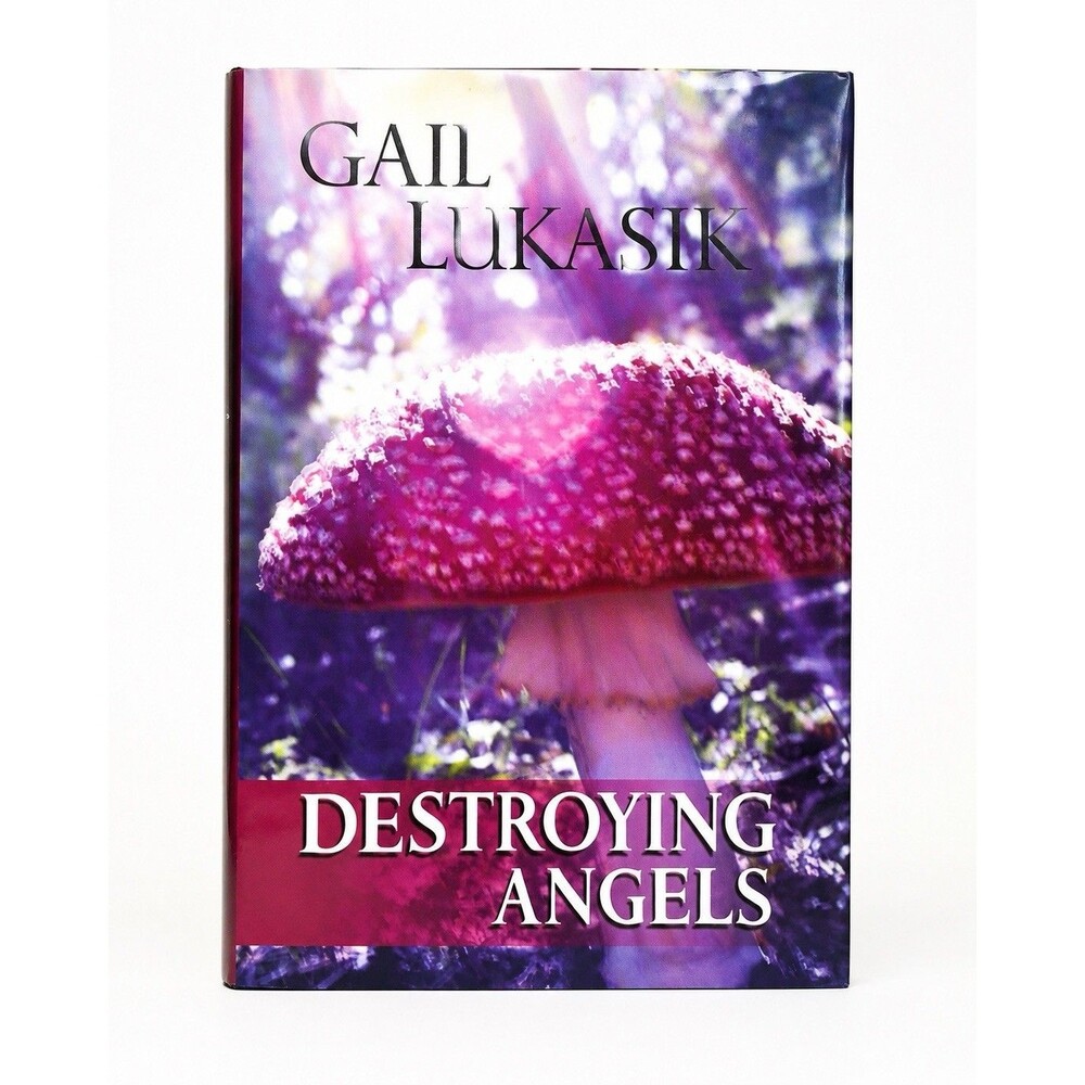 Destroying Angels Gail Lukasik 2006 Hardcover Signed Mystery Thriller Wisconsin